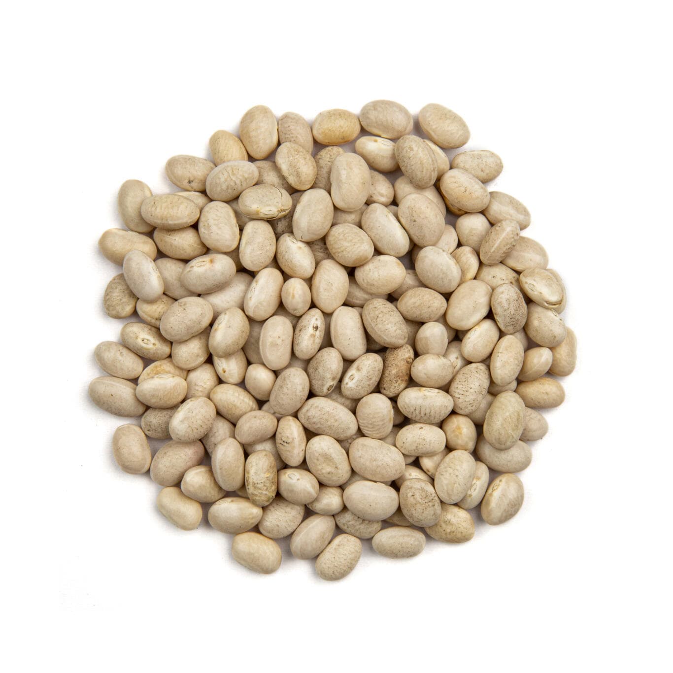 PEA Bohnen, roh